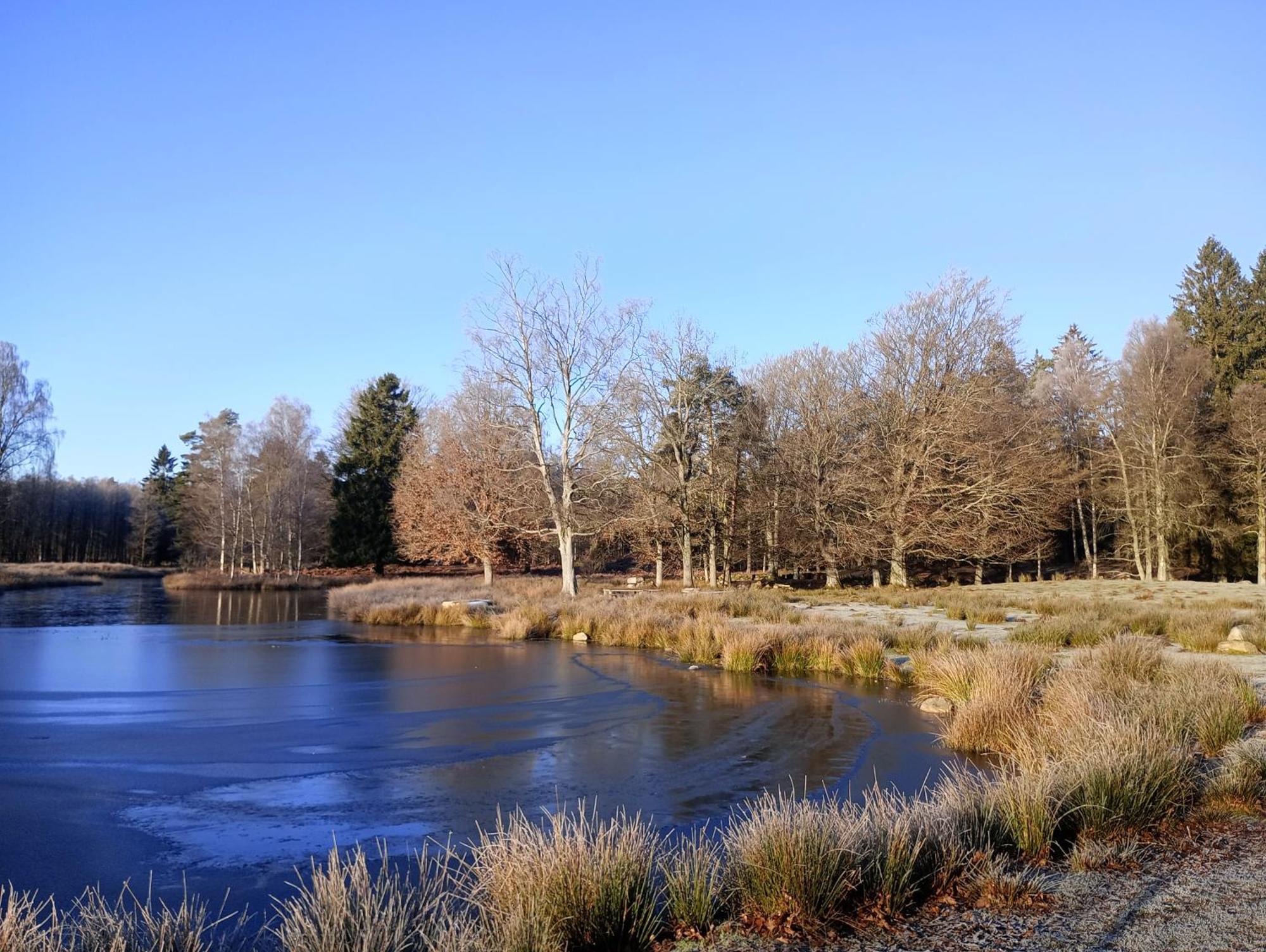 Damwildfarm In Rollerbue Suedschweden Villa Tyringe Exterior photo